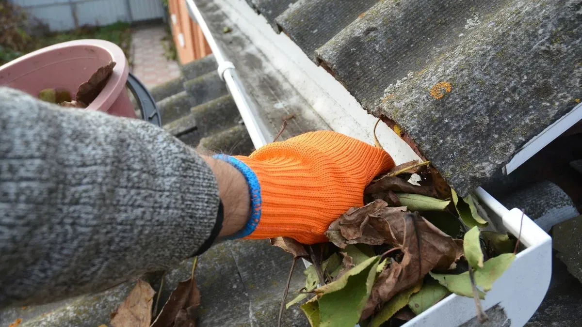 Local gutter cleaning in PO21, image 4