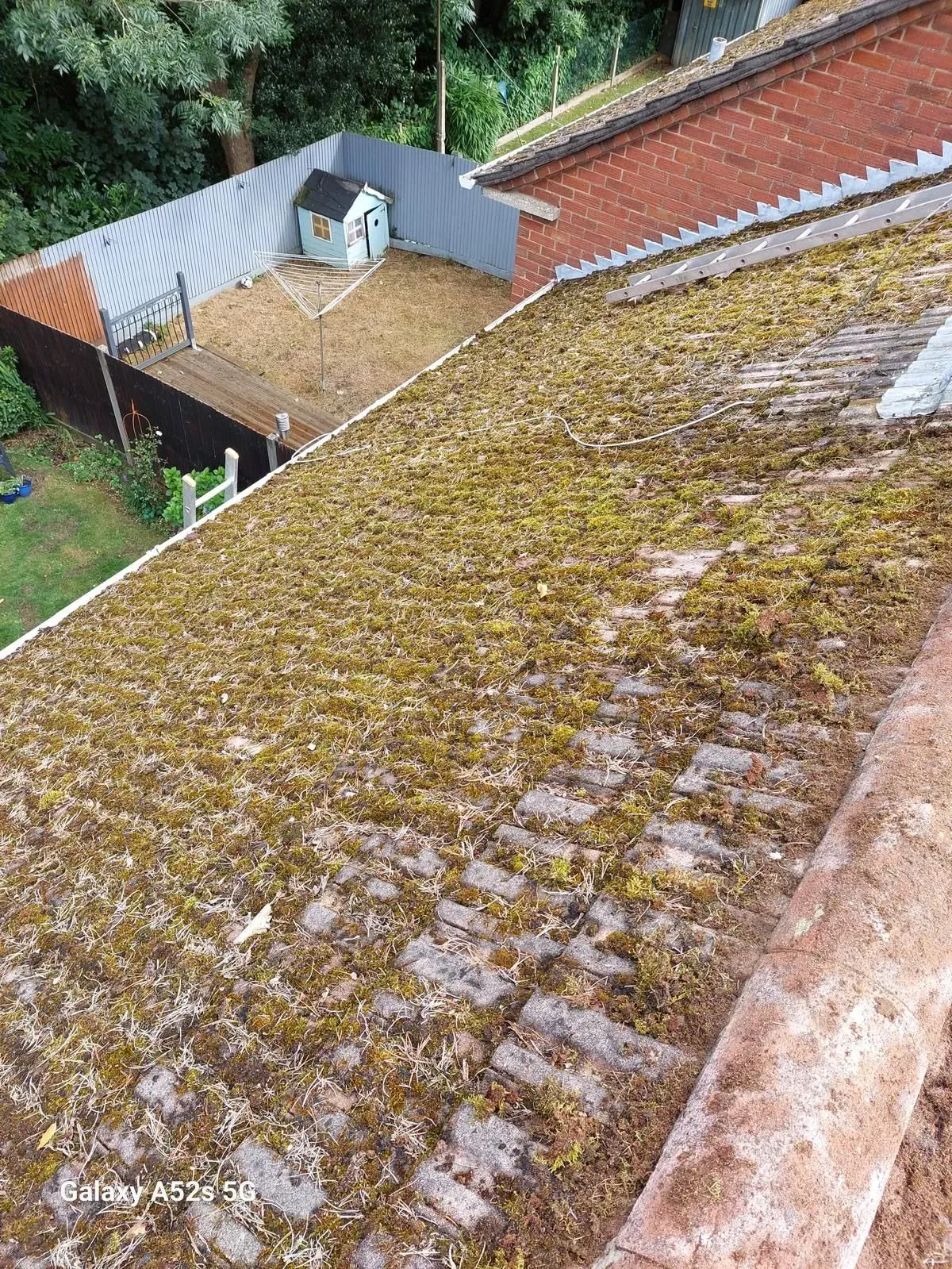 Biocide Treatment work on former MoD housing in Bordon (photo 3)